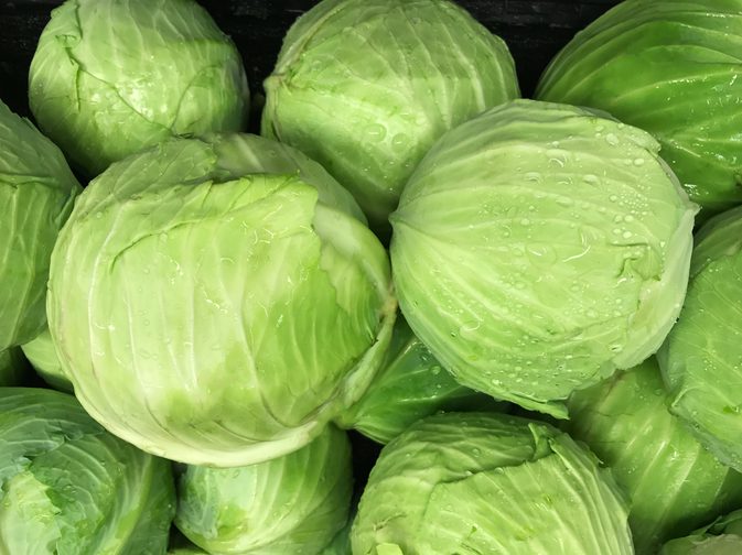 cabbage