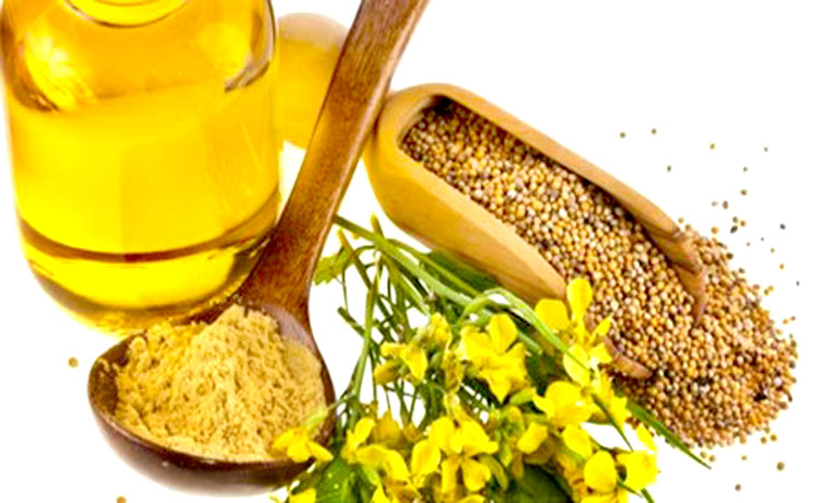 Benefits of Mustard Oil