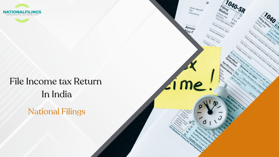 national filings file income tax-ad458fdf