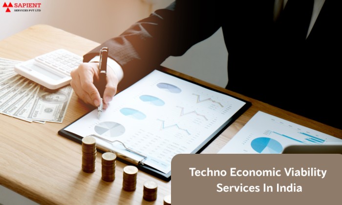 techno economic viability services in india
