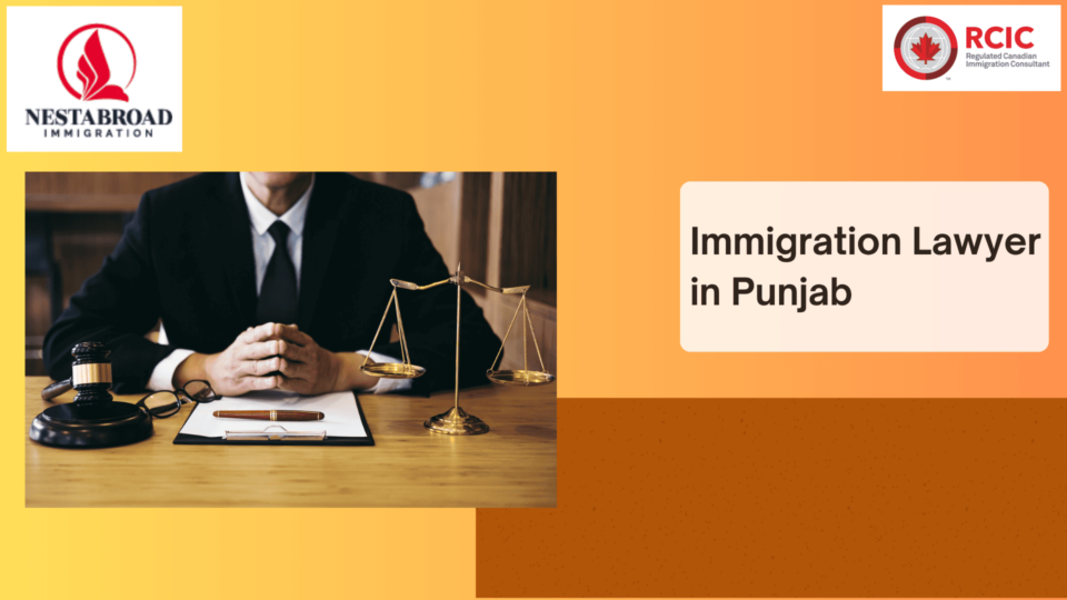 Immigration Lawyer in Punjab (1) (1)