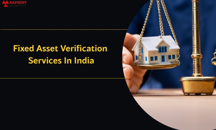 fixed asset verification services in india