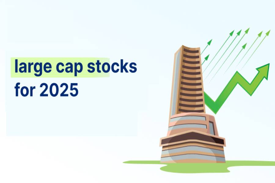 Discover-Indias-Top-Large-Cap-Stocks-for-2025-Paytm-Money-Blog