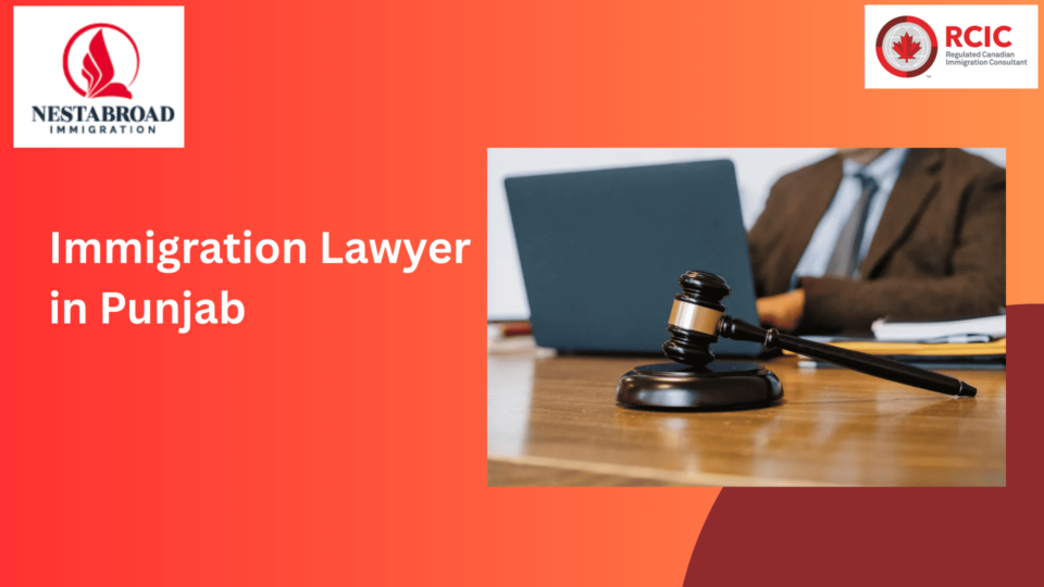 Immigration Lawyer in Punjab (2) (1)